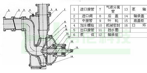 直联式自吸无堵塞排污泵